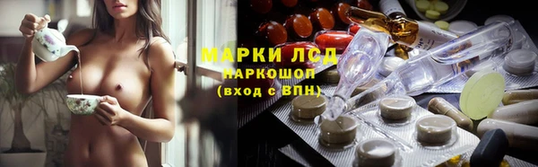 хмурый Алзамай