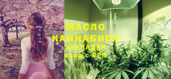 хмурый Алзамай