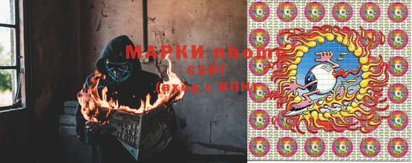 хмурый Алзамай