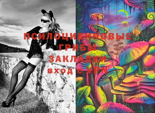 ПСИЛОЦИБИНОВЫЕ ГРИБЫ Алексеевка