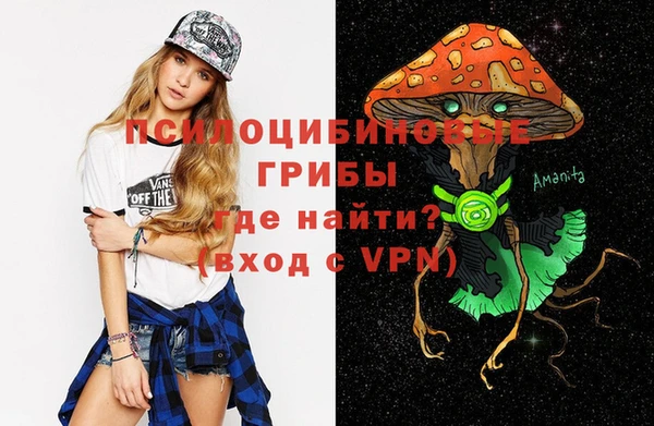 хмурый Алзамай