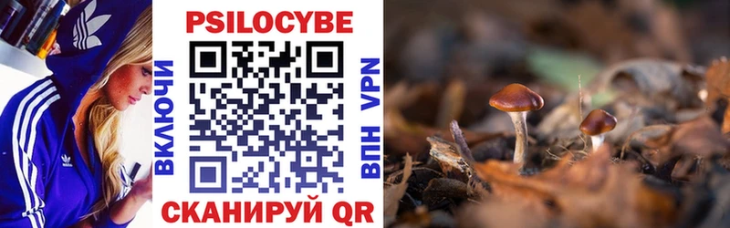 Галлюциногенные грибы Psilocybe  купить   Отрадная 